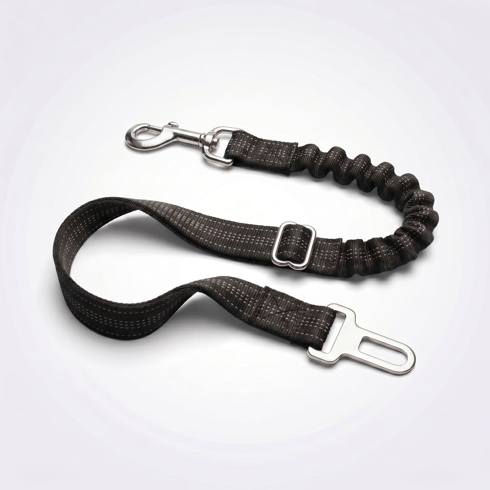 Ceinture de sécurité pour chien