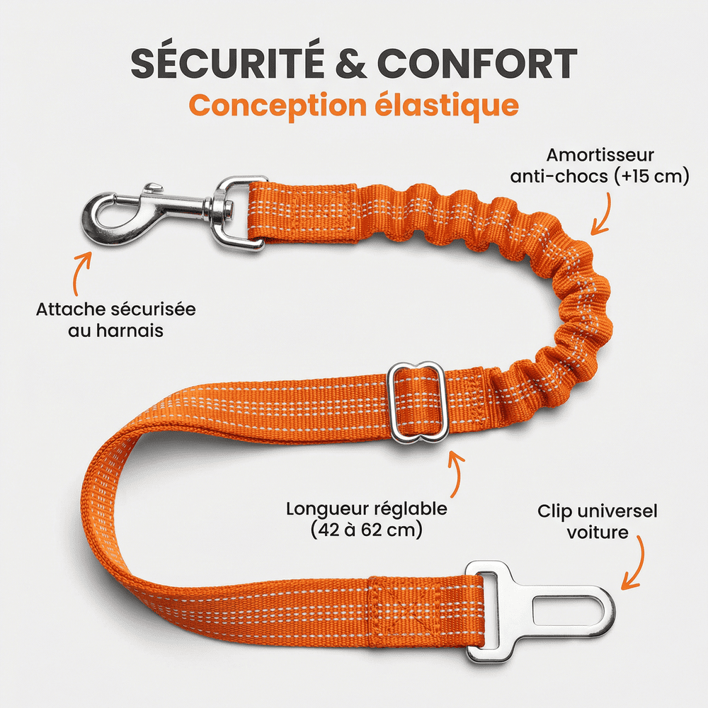 Ceinture de sécurité pour chien anti-choc - Dog Trotter™