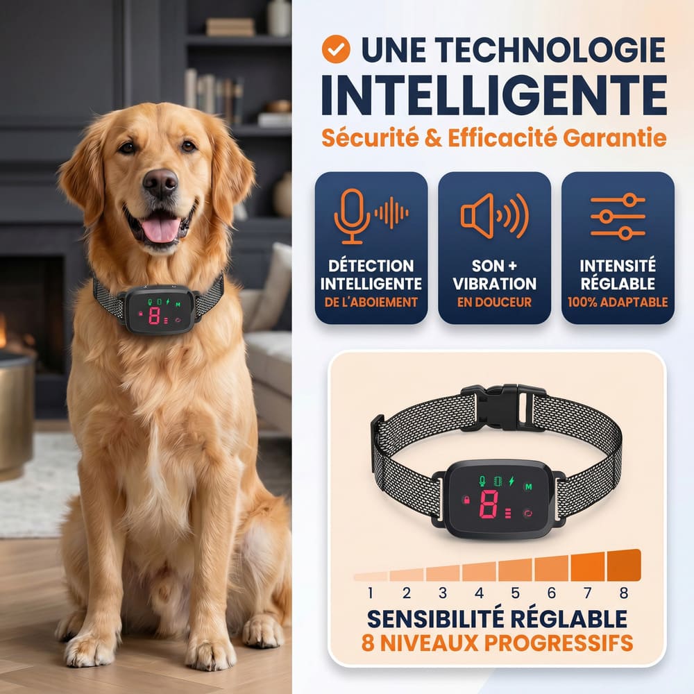 Collier anti-aboiement éducatif