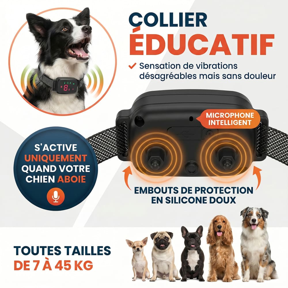 Collier anti-aboiement éducatif