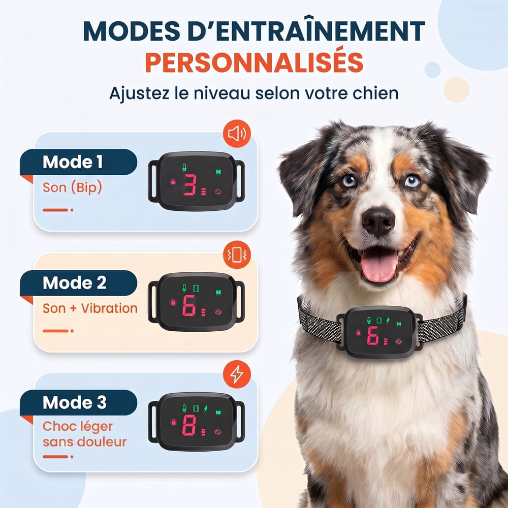 Collier anti-aboiement éducatif
