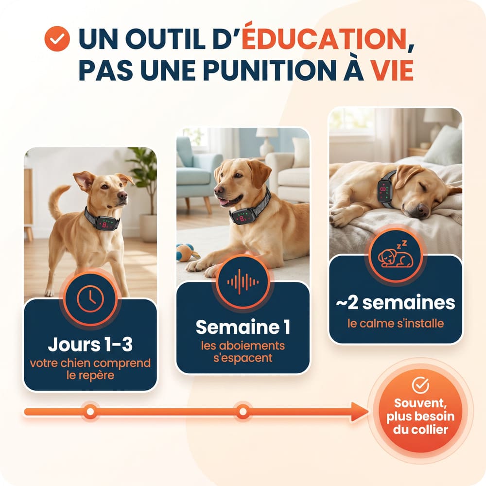 Collier anti-aboiement éducatif