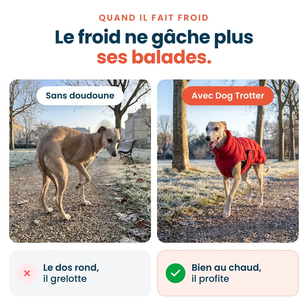 Avant et après par temps froid : chien qui grelotte sans doudoune, bien au chaud avec la doudoune Dog Trotter