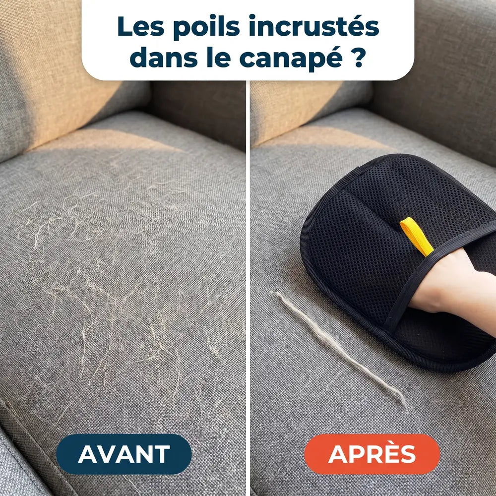 Gant magique attrape-poils