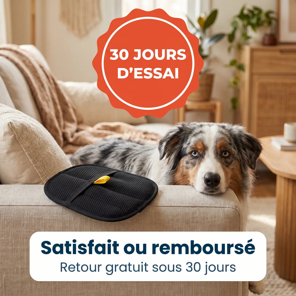 Gant magique attrape-poils