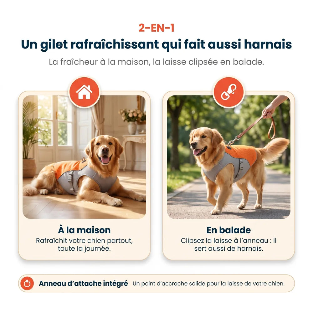 Gilet rafraîchissant pour chien sans gel