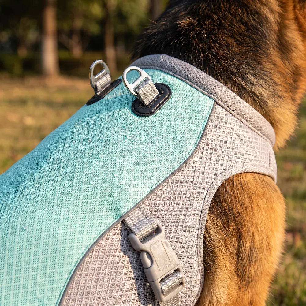 Gilet rafraîchissant pour chien sans gel