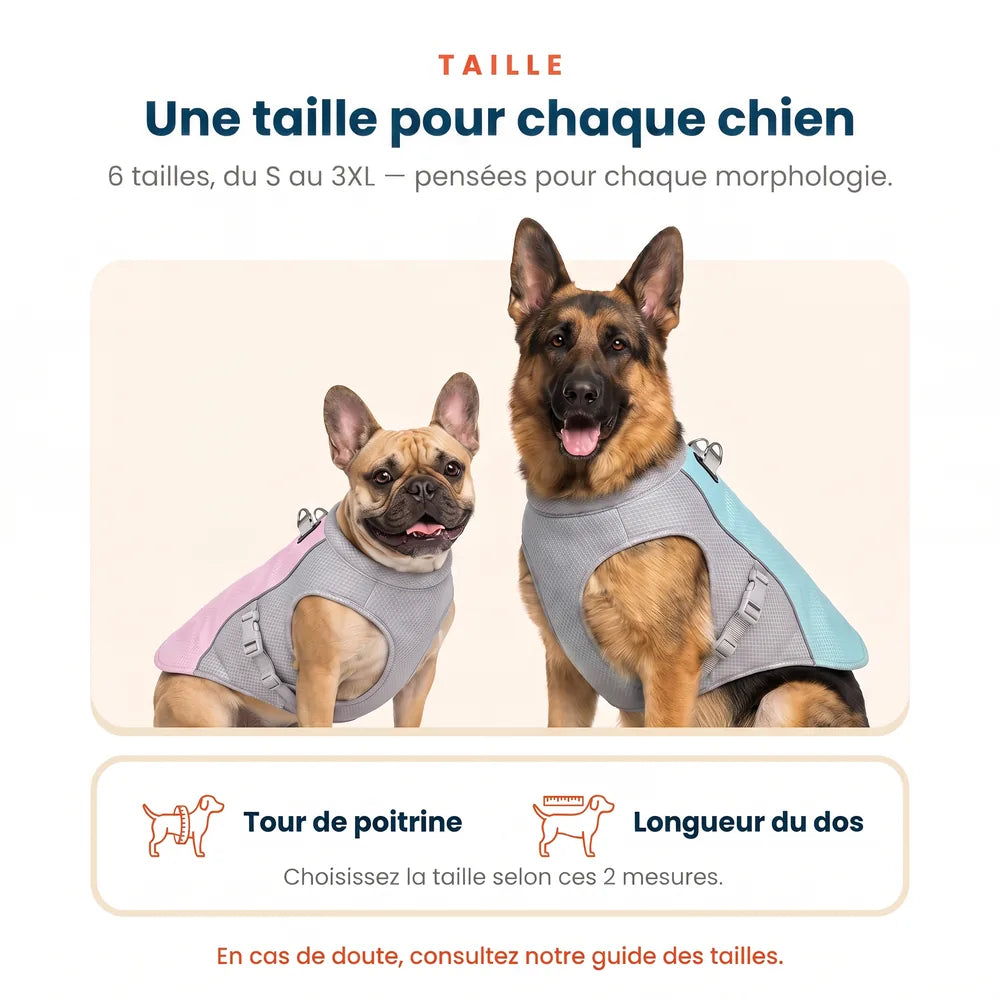 Gilet rafraîchissant pour chien sans gel