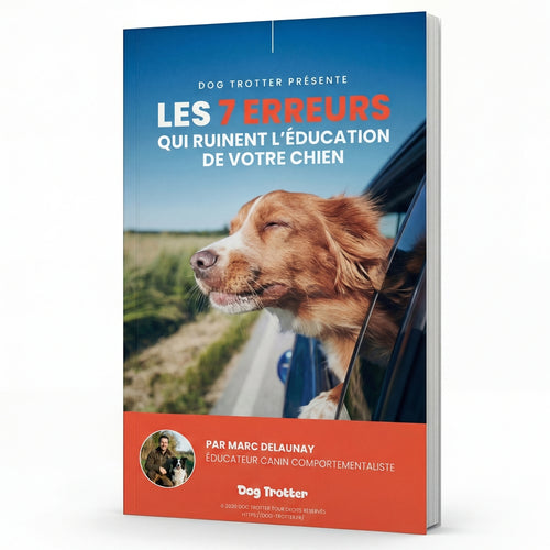 Les 7 erreurs qui ruinent l'éducation de votre chien