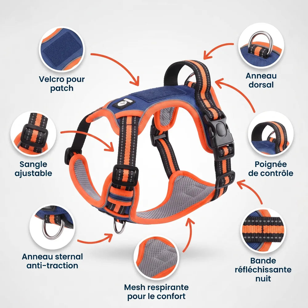 Harnais anti-traction en Y pour chien