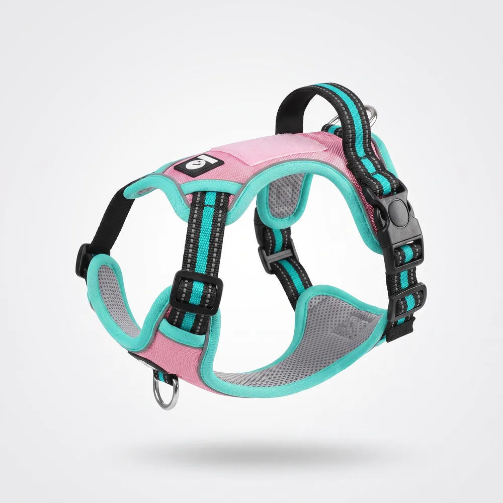 Harnais anti-traction en Y pour chien