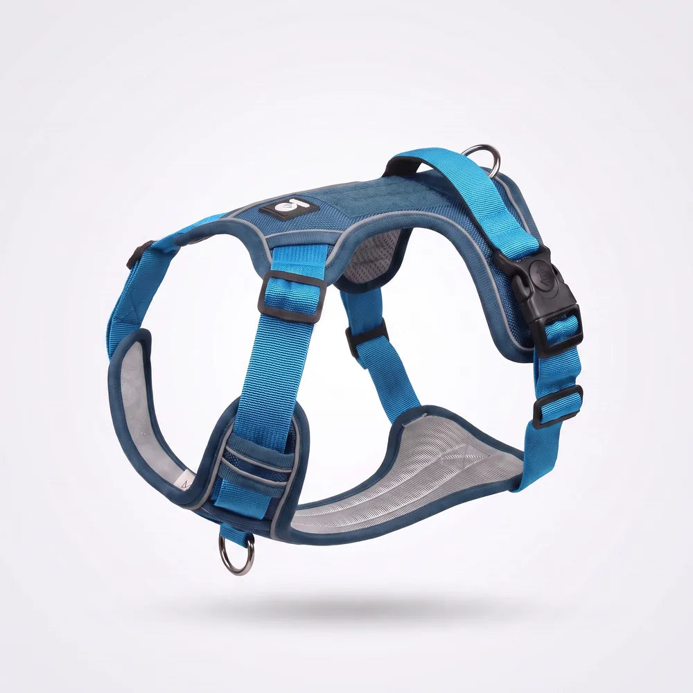 Harnais anti-traction en Y pour chien