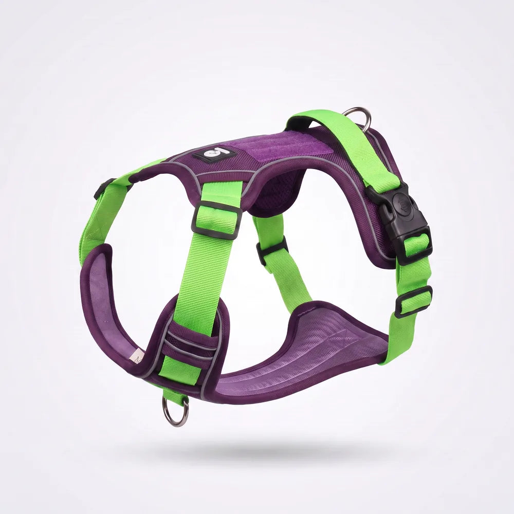 Harnais anti-traction en Y pour chien