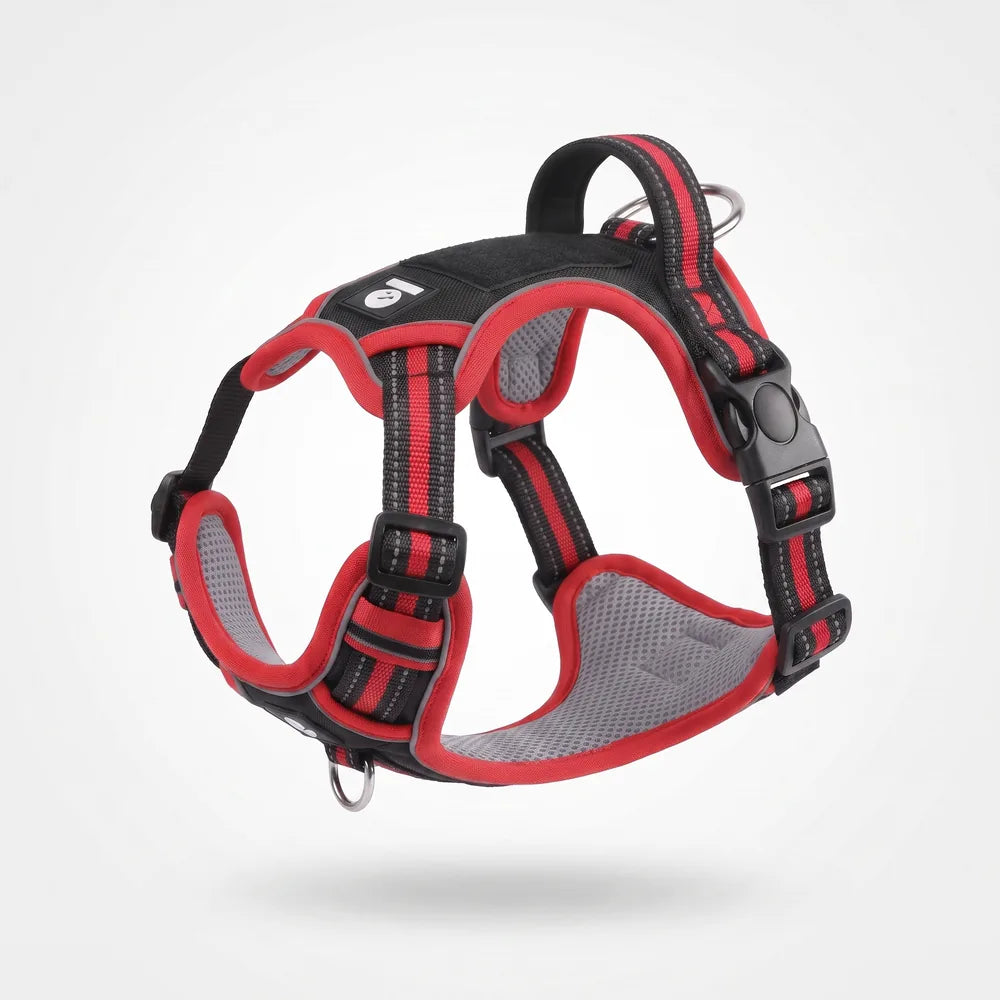 Harnais anti-traction en Y pour chien