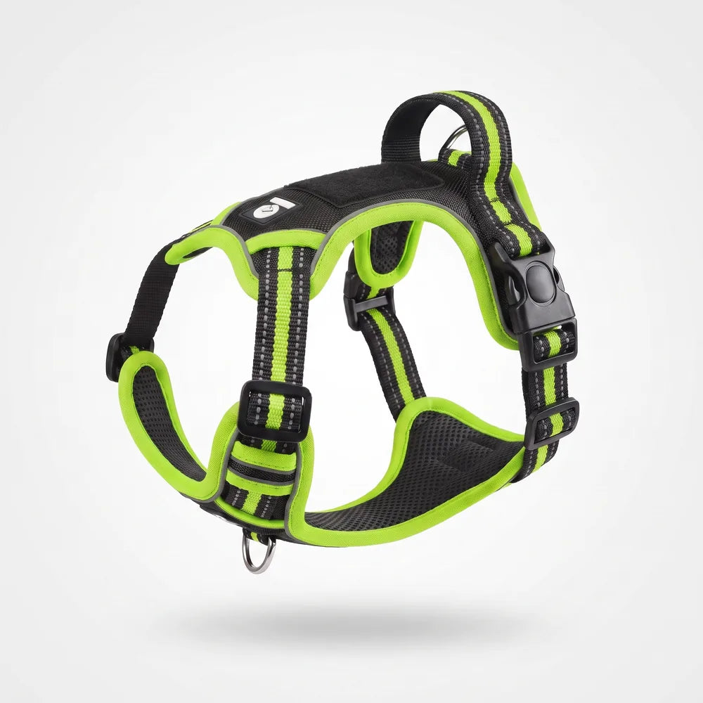 Harnais anti-traction en Y pour chien