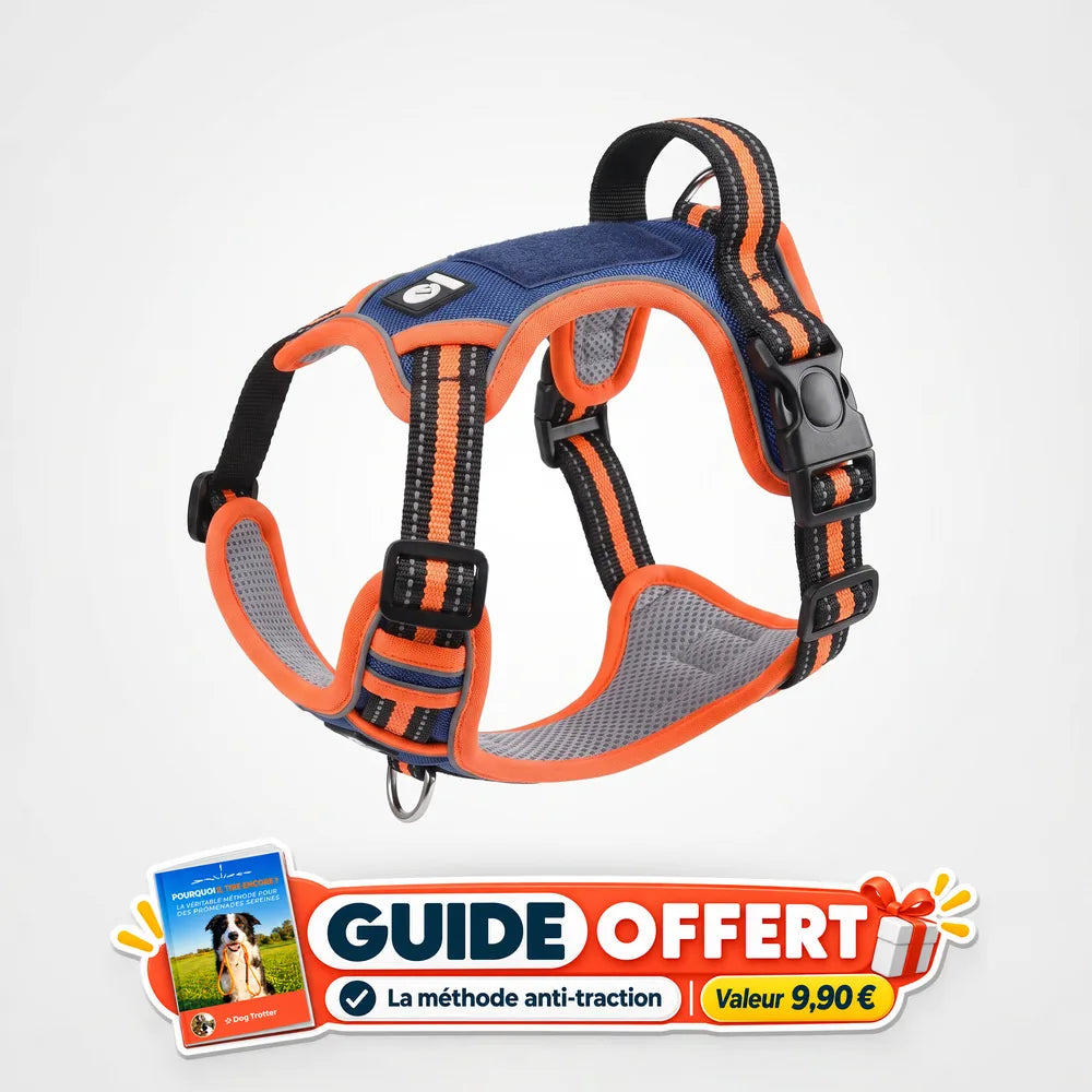 Harnais anti-traction en Y pour chien