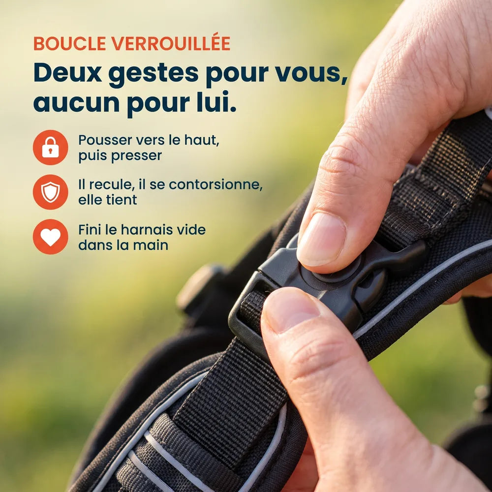 Harnais pour chien anti-traction & anti-fugue