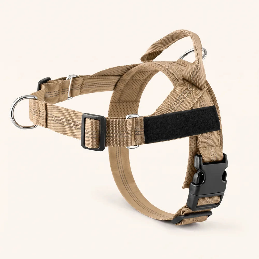 Harnais pour chien anti-traction Dog Trotter™