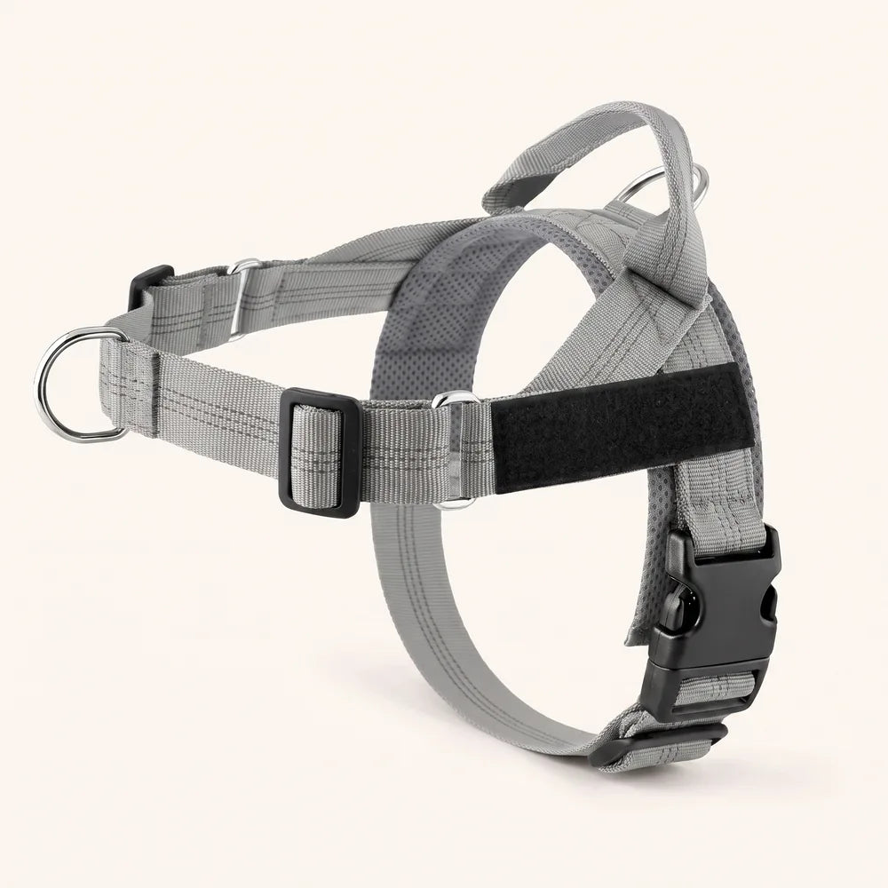 Harnais pour chien anti-traction Dog Trotter™