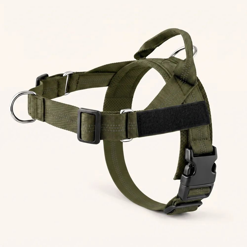 Harnais pour chien anti-traction Dog Trotter™