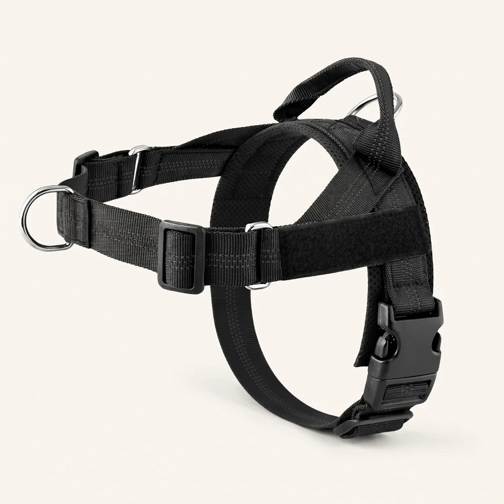 Harnais pour chien anti-traction Dog Trotter™