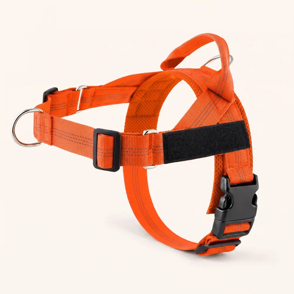 Harnais pour chien anti-traction Dog Trotter™