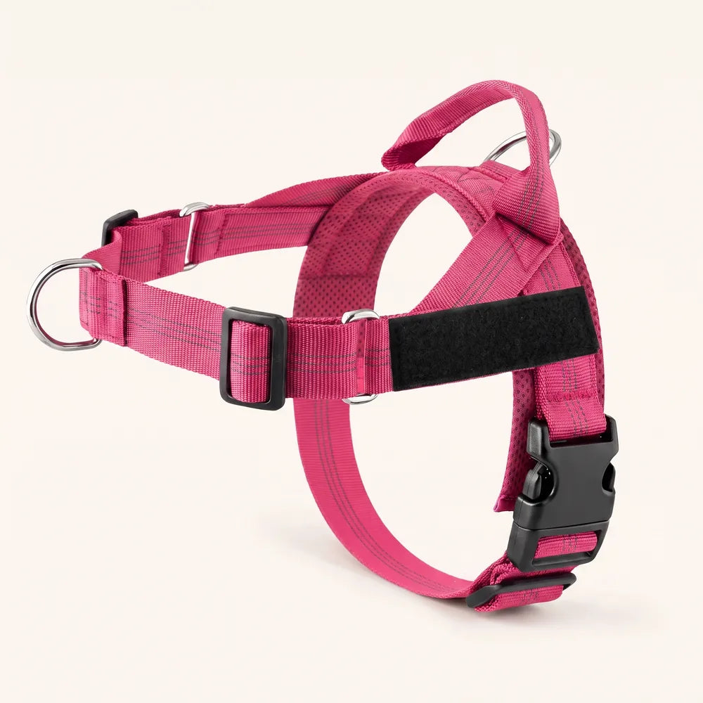 Harnais pour chien anti-traction Dog Trotter™