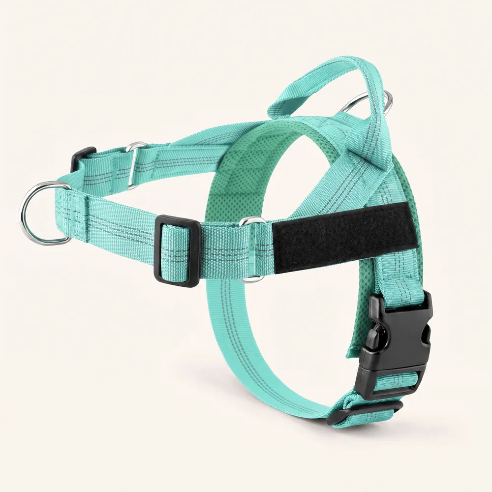Harnais pour chien anti-traction Dog Trotter™