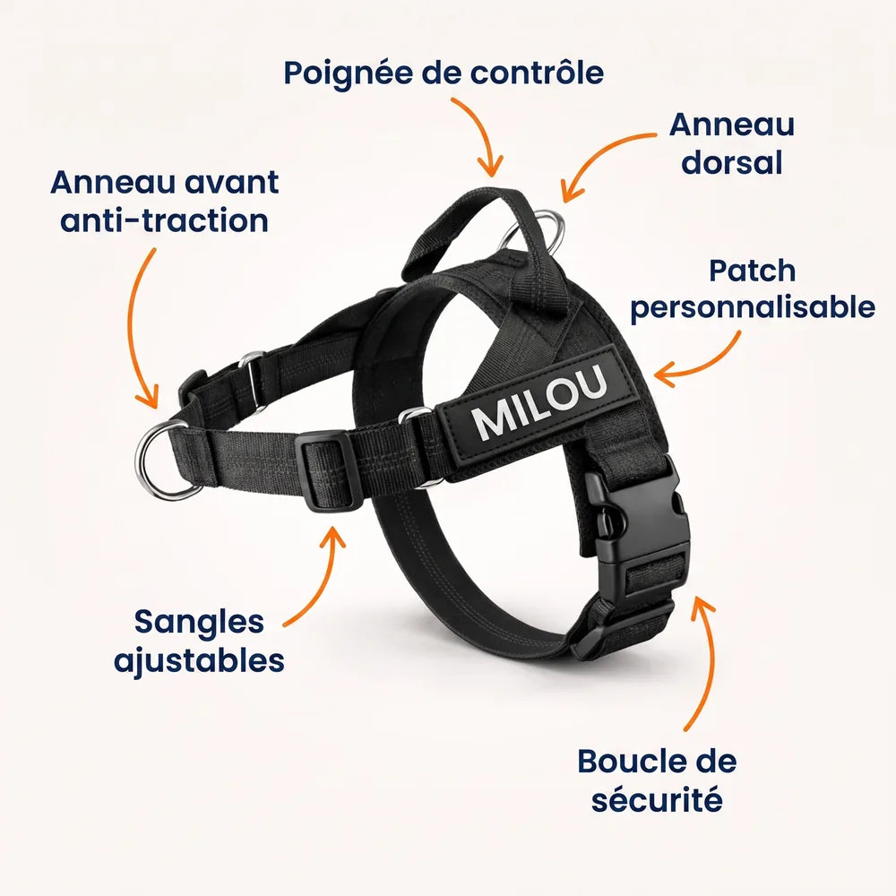 Harnais pour chien anti-traction Dog Trotter™