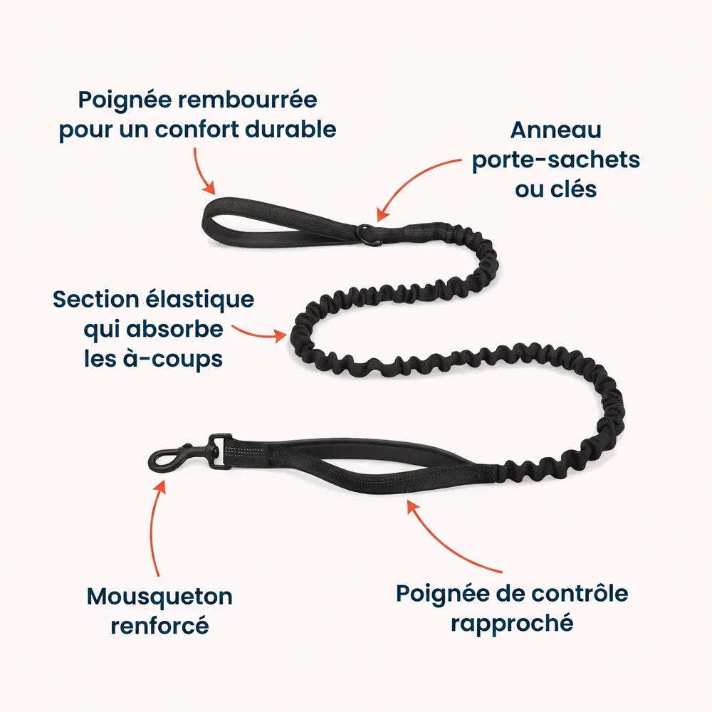 Harnais pour chien anti-traction Dog Trotter™