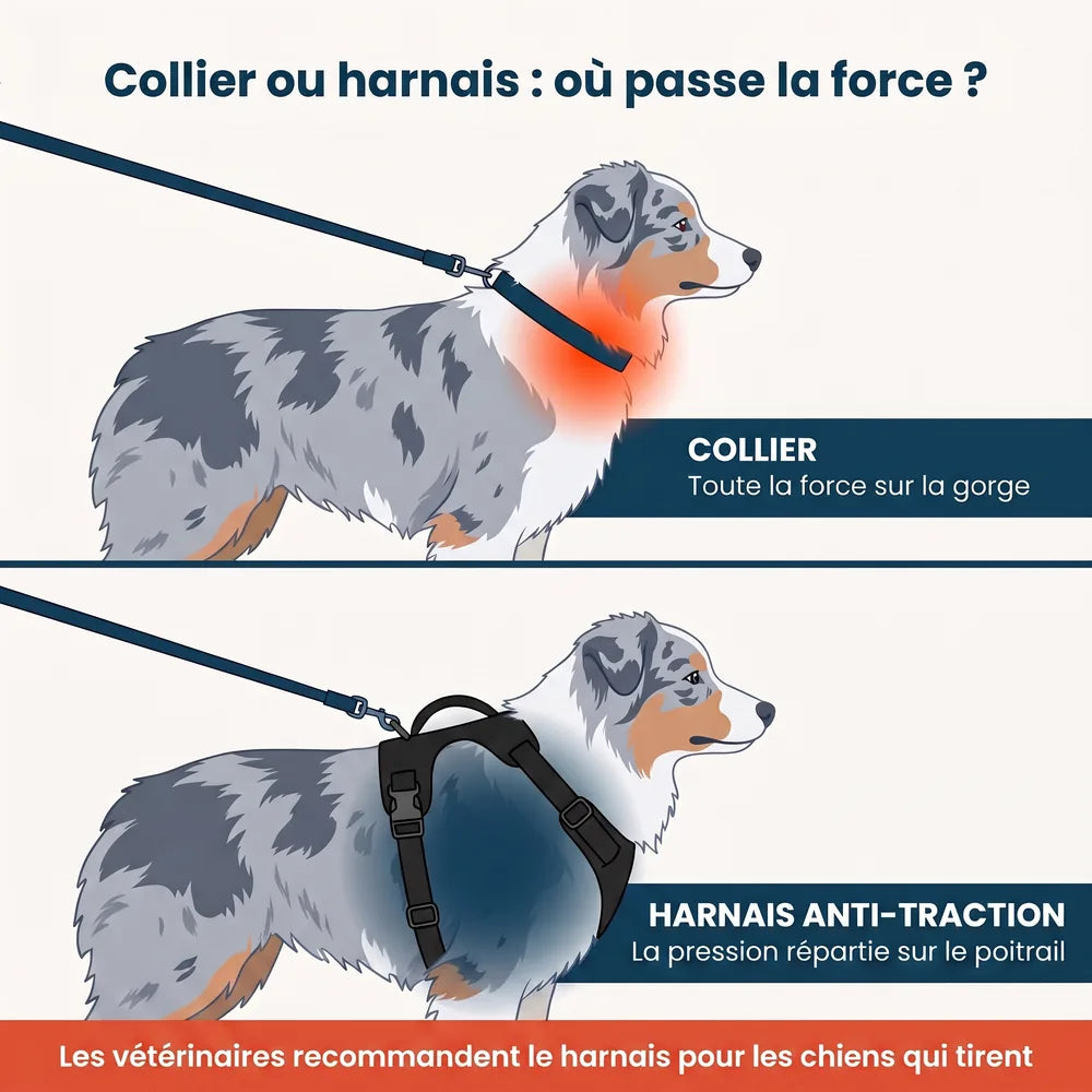 Harnais pour chien anti-traction Dog Trotter™