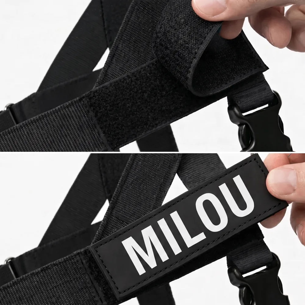 Harnais pour chien anti-traction Dog Trotter™