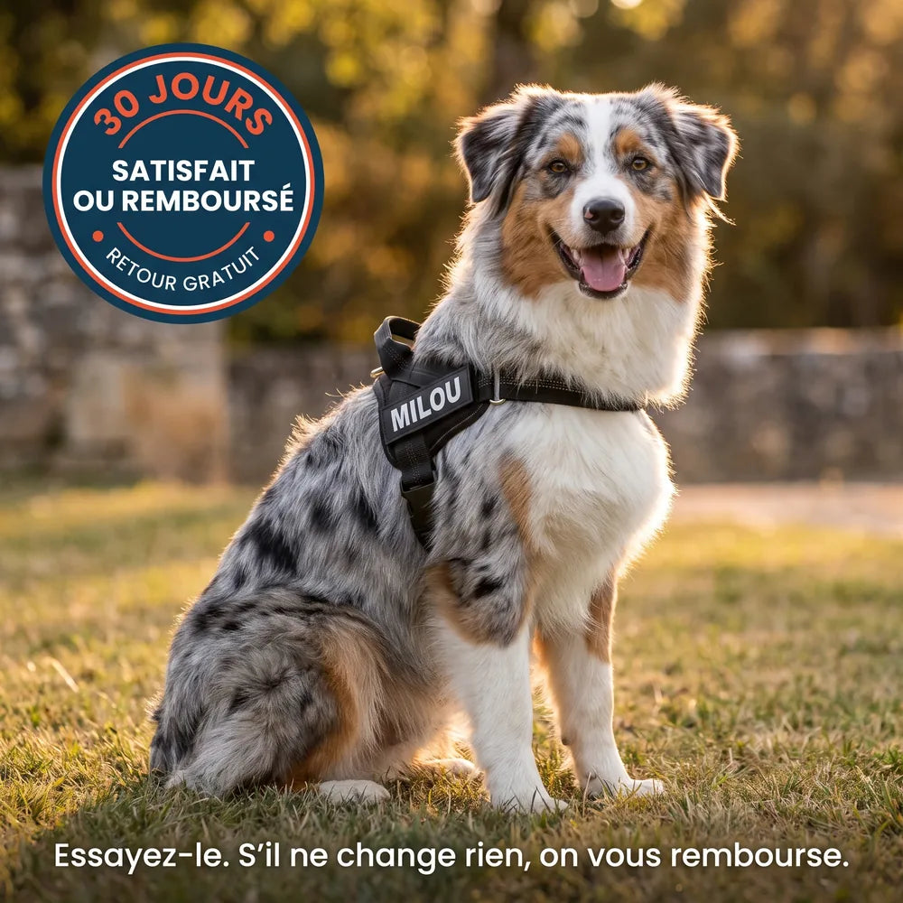 Harnais pour chien anti-traction Dog Trotter™