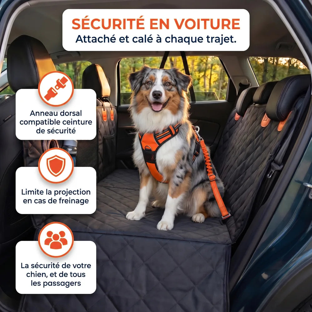 Harnais chien spécial voiture