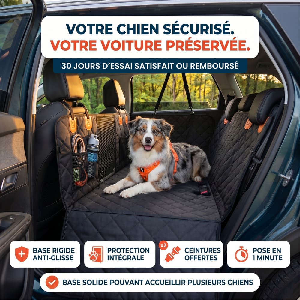 Housse de protection voiture pour chien avec base rigide