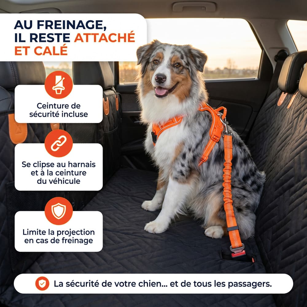 Housse de protection voiture pour chien avec base rigide
