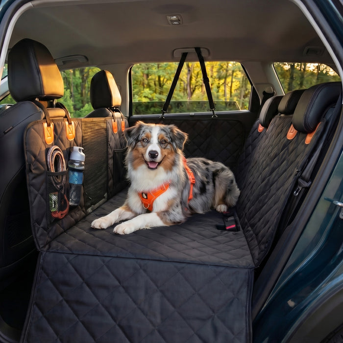 Protection voiture