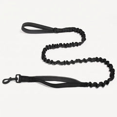 Laisse élastique offerte avec le harnais anti-traction Dog Trotter