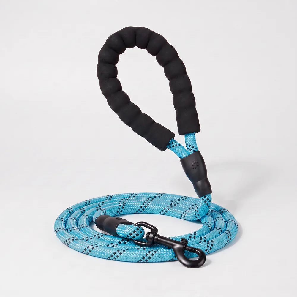 Laisse pour chien qui tire
