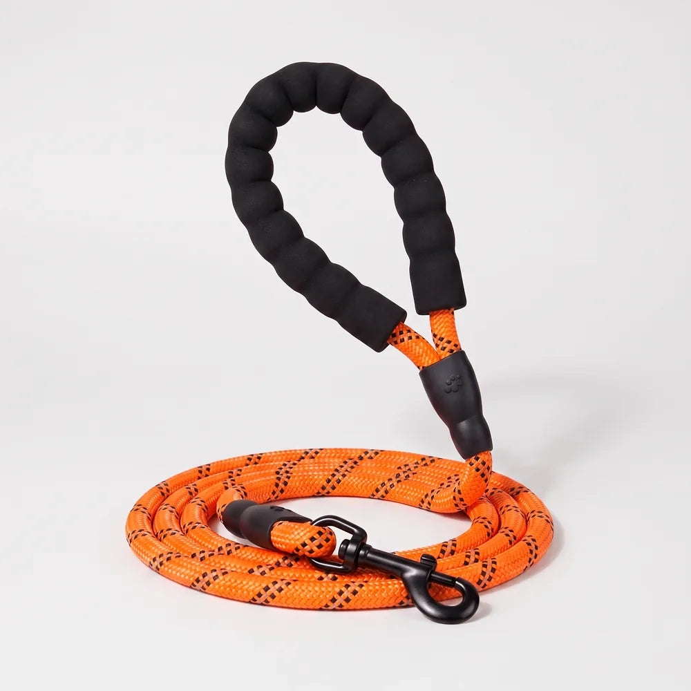 Laisse pour chien qui tire
