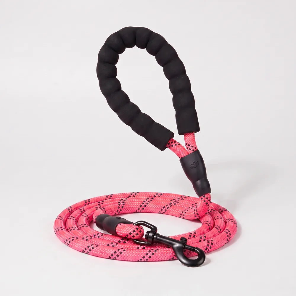 Laisse pour chien qui tire