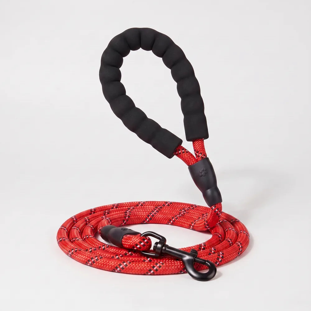 Laisse pour chien qui tire