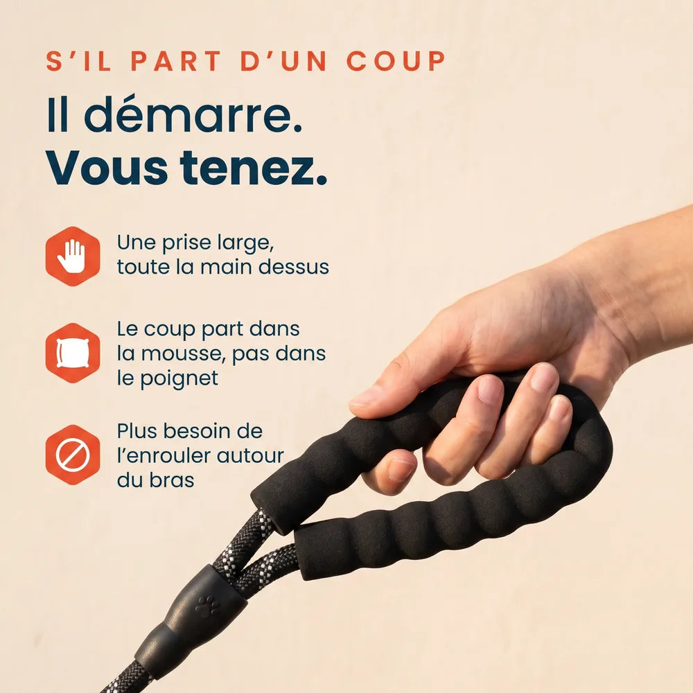 Laisse pour chien qui tire