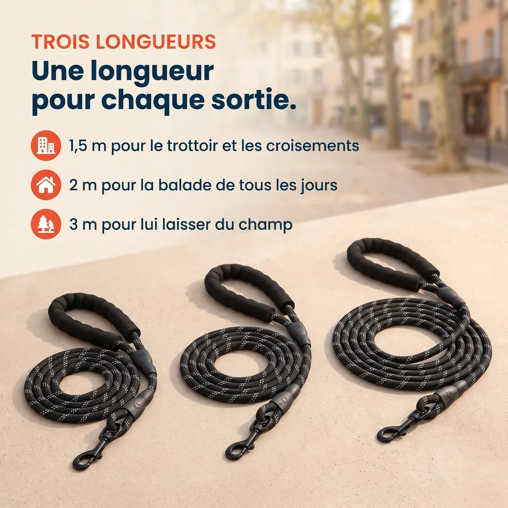 Laisse pour chien qui tire