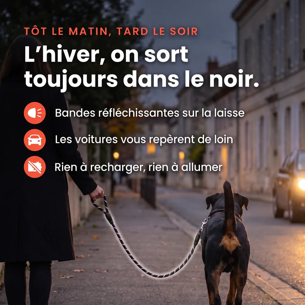 Laisse pour chien qui tire