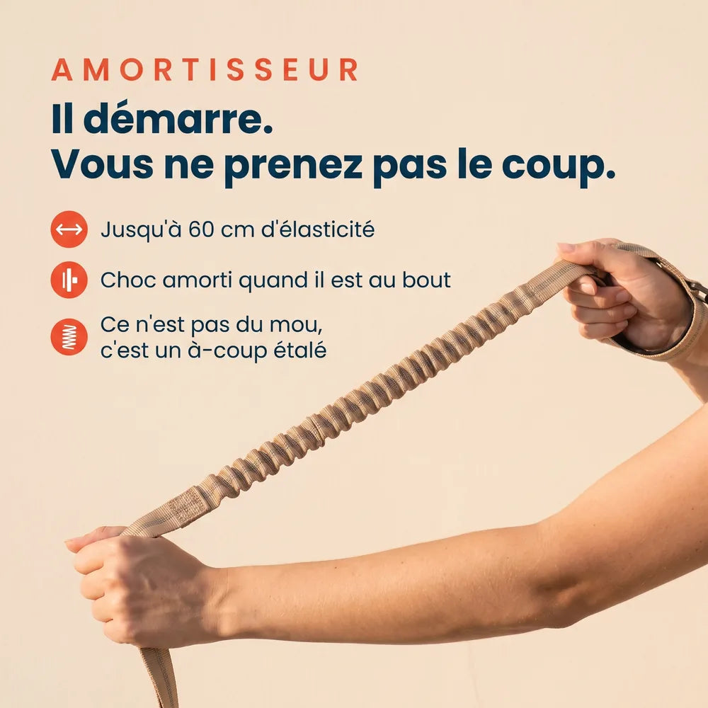 Laisse amortisseur voiture pour chien