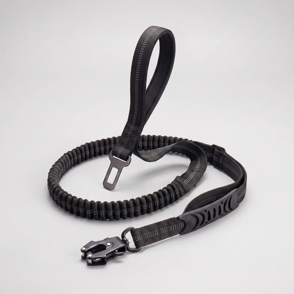 Laisse amortisseur voiture pour chien
