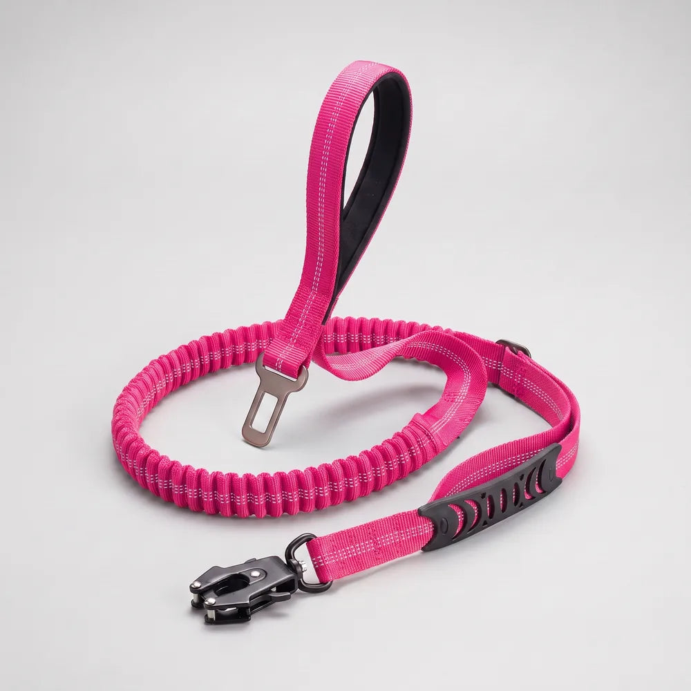 Laisse amortisseur voiture pour chien