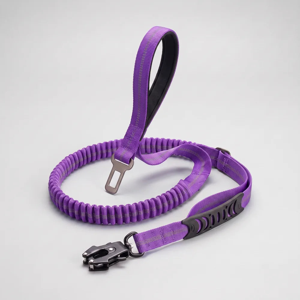 Laisse amortisseur voiture pour chien
