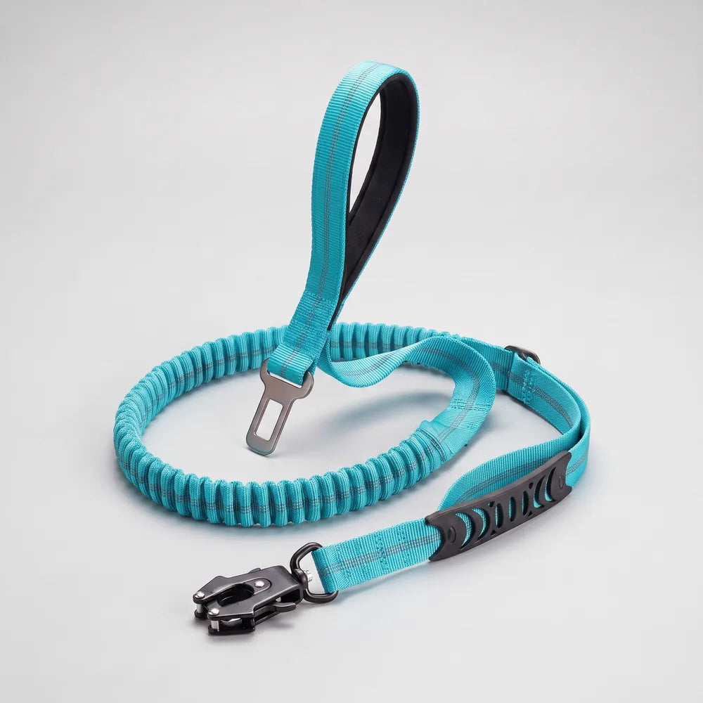 Laisse amortisseur voiture pour chien